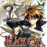 Black Cat